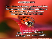 Glueckskaefer