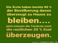 Tier�rzte m�ssen die letzten Esel noch �berzeugen