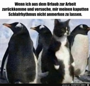Nach-dem-Urlaub.jpg auf www.funpot.net