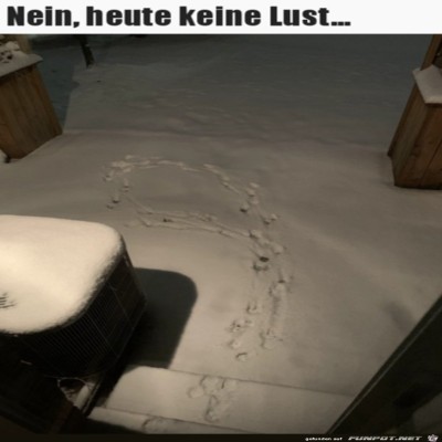 Kurzer-Ausflug.jpg von SWolle