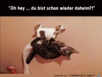 Mist du bist schon zur�ck