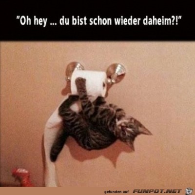 Mist-du-bist-schon-zurück.jpg von Leya