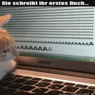 Katze-schreibt-ein-Buch.jpg von Pius