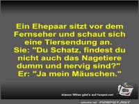 Ein Ehepaar sitzt vor dem Fernseher und schaut sich eine...