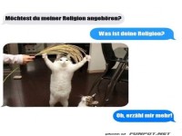 Katze als spiritueller Anf�hrer