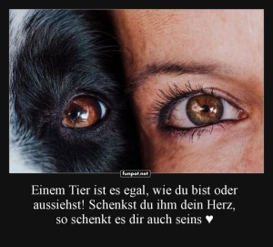 herz-Bild: Liebe zwischen Mensch und Tier