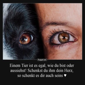 Liebe-zwischen-Mensch-und-Tier.jpg von Robert91