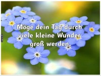 Inspirierende Botschaft auf schnen Blumen