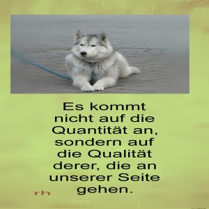 herz-Bild: es kommt nicht auf die quantität