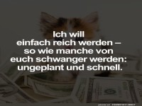 Katzen und Cash: Ein unerwarteter Reichtum!