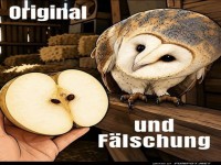 Wenn Fr�chte die Tarnkappe ablegen