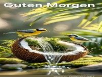 Guten Morgen ..