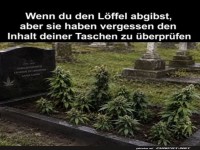 Letzter Wille: Pflanzliche �berraschung
