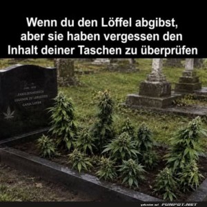 Letzter-Wille:-Pflanzliche-Überraschung.jpg von Elijas1995