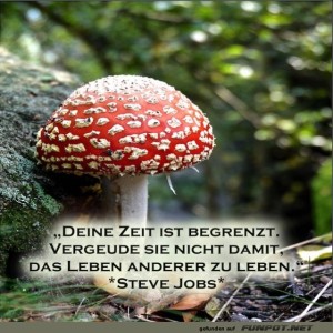 Begrenzte-Zeit.jpg von Josefin