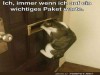 weiter