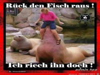 Rueck den Fisch raus