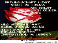 freundschaft 