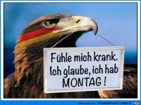 Fhle mich krank. Ich glaube ich hab Montag