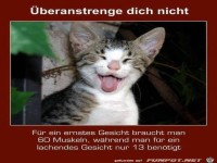 �beranstrenge dich nicht10988934