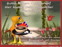 Guten Morgen - aufstehen