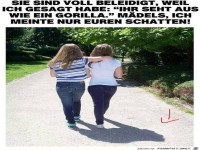 Falsch verstanden
