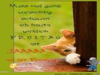 Muss mal ganz vorsichtig schaun