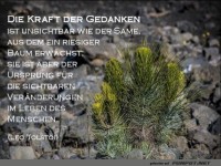 Die Kraft der Gedanken