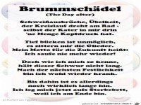 Brummschdel 2017