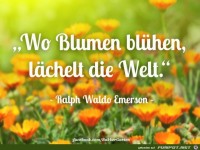 Wo Blumen bluehn