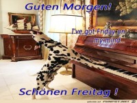 Freitag