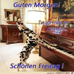 Freitag.jpg auf www.funpot.net