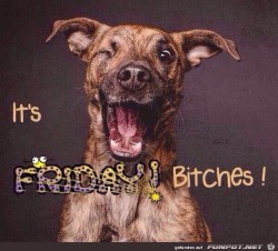 Freitag.jpg auf www.funpot.net