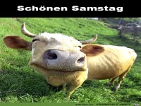 Samstag