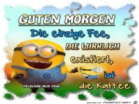 Die einzige Fee
