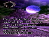 der sinn des lebens besteht