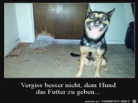 Ziemlich gro�er Hunger