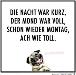Schon-wieder-Montag.jpg auf www.funpot.net