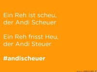 Andi Scheuer