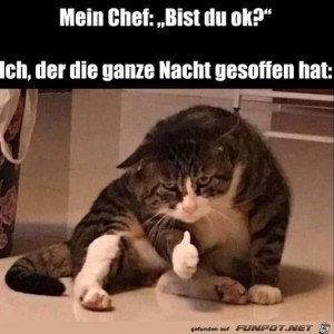 Ziemlich-kaputt.jpg auf www.funpot.net