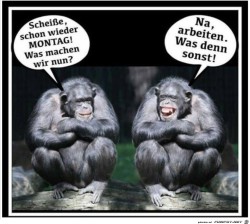 Schon-wieder-Montag.jpg auf www.funpot.net