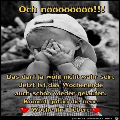 Oh-noeoeoeoeoeoe.jpg von Floh