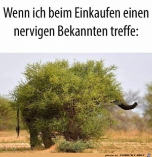 Schnell-verstecken.jpg auf www.funpot.net