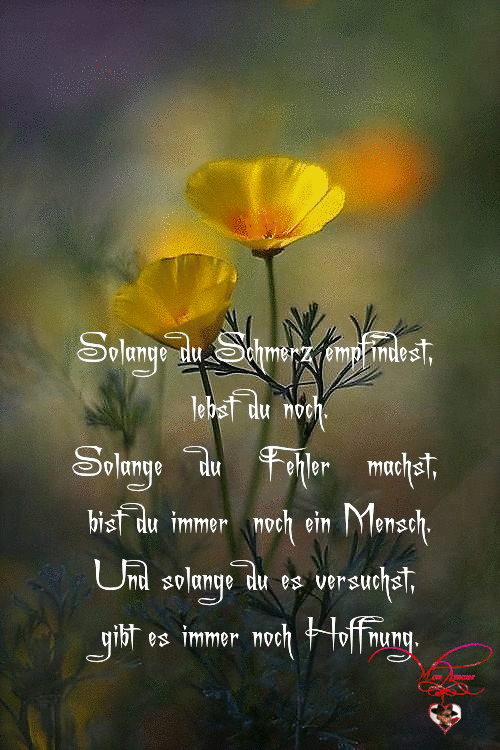 herziger Spruch 'In der Schatztruhe der Erinnerungen'