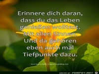 Erinnere dich daran das du das Leben geniesen wolltest