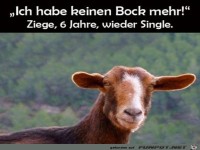 Keinen Bock mehr
