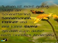 Leben ist nicht genug