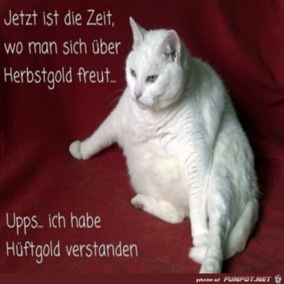 Herbstgold.jpg von Lawrence