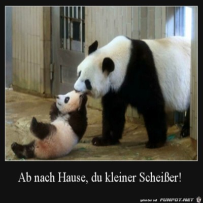 Komm-jetzt.jpg von Alya