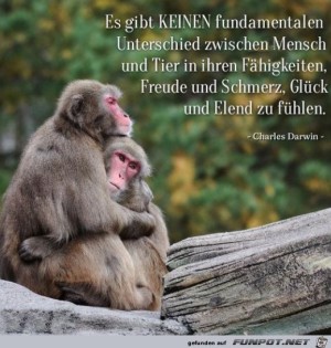 Tier-und-Mensch.jpg auf www.funpot.net